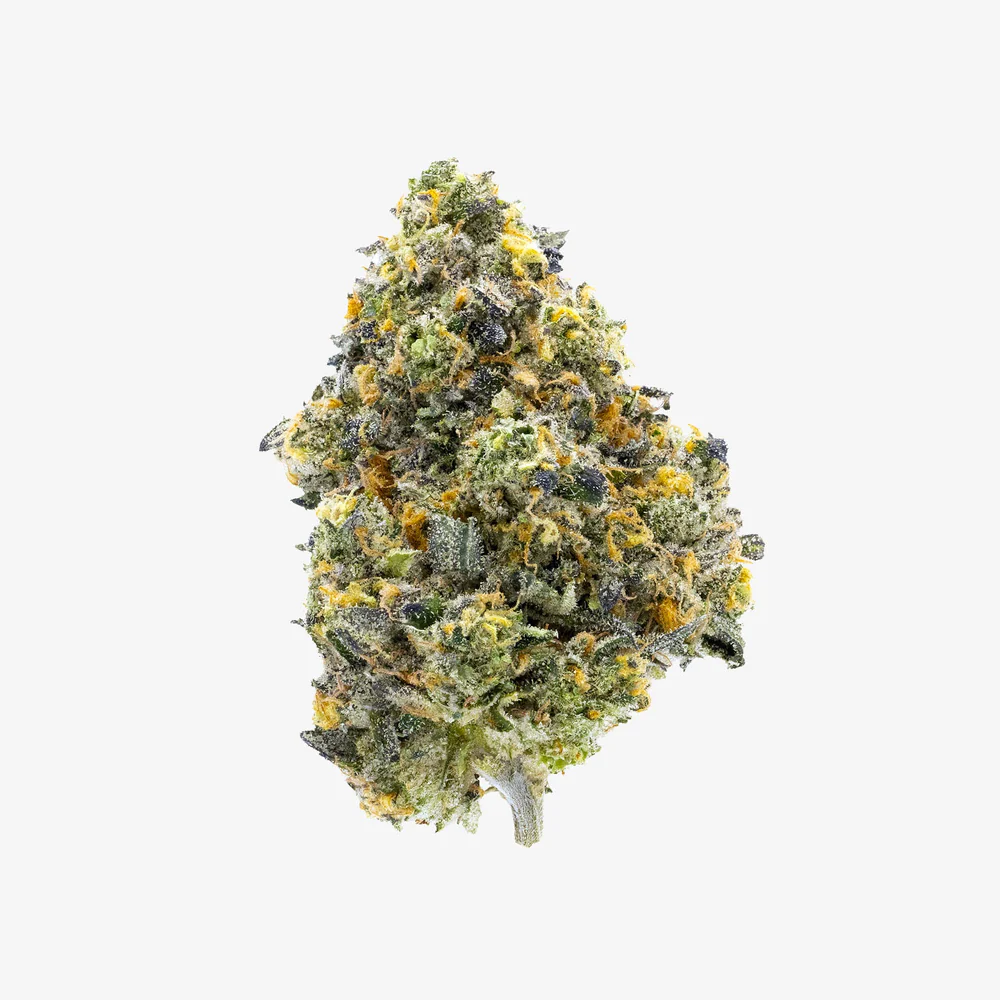 haze-exotics-thc-a-flower-pablos-revenge-detail_0ff12739-b605-4078-b5e6-c20f47346cea