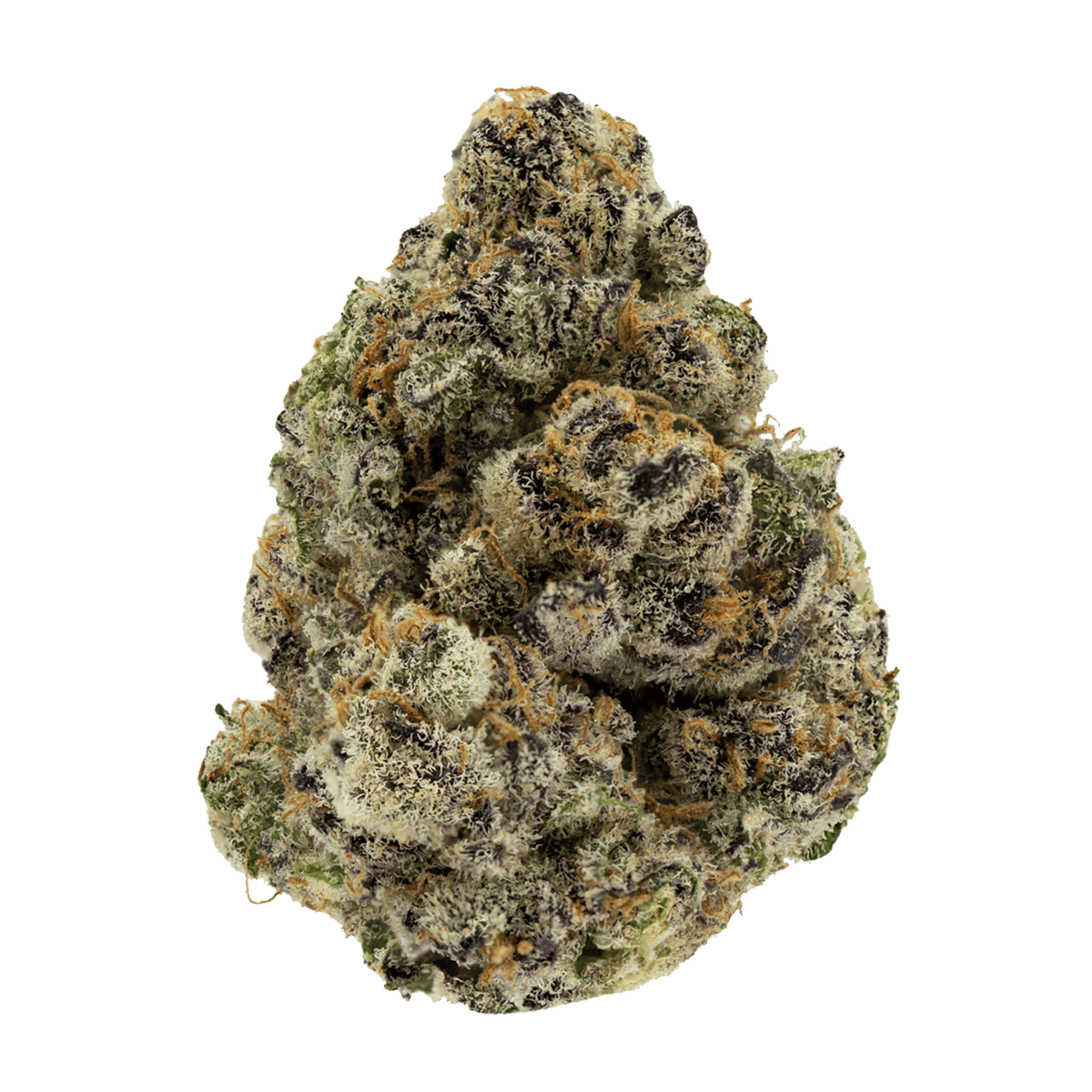 Blueberry Muffin Strain 1