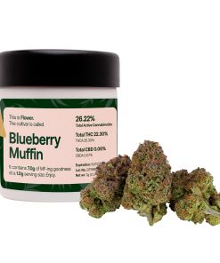 Blueberry Muffin Strain