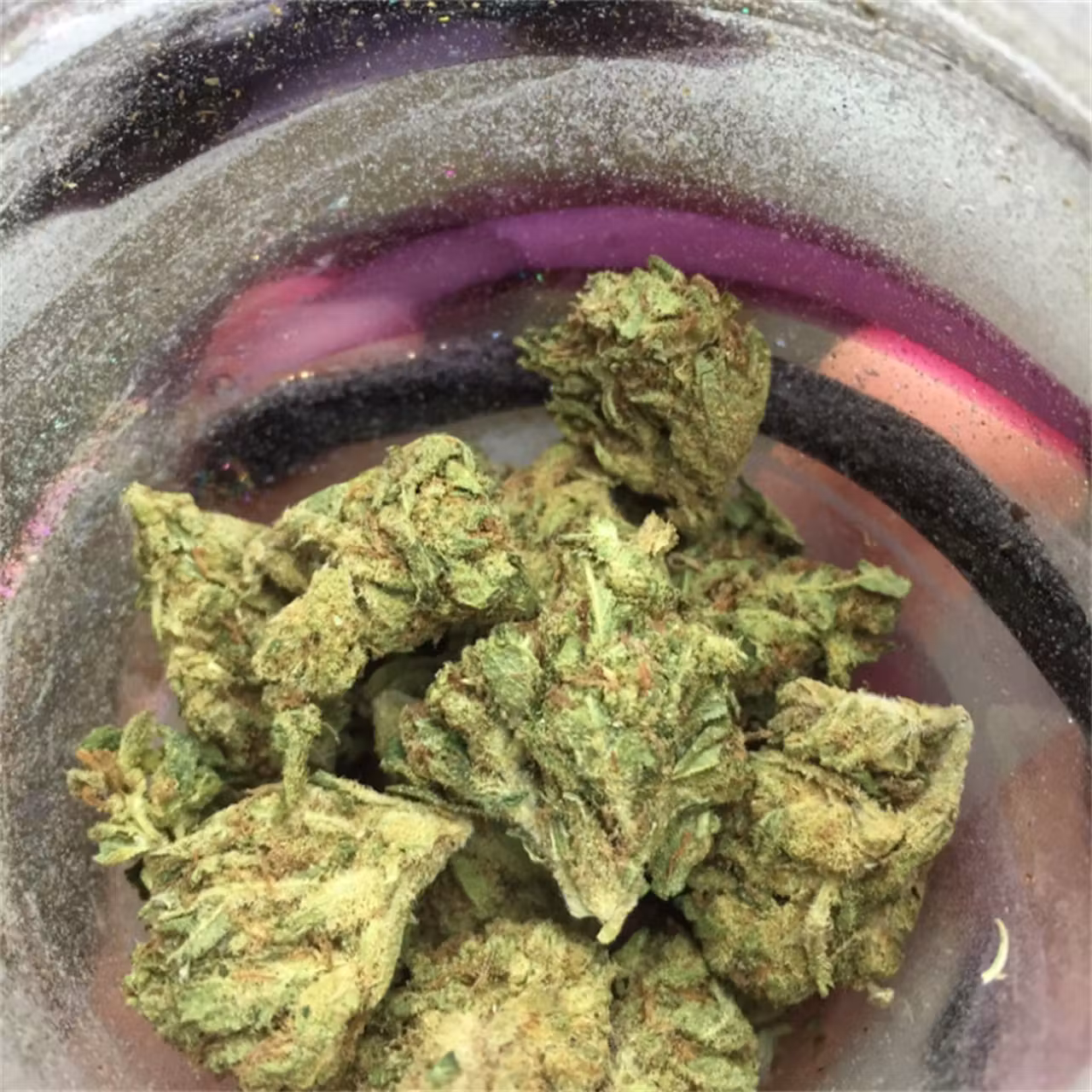 Blueberry Muffin Strain Blueberry Muffin Strain