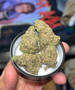 Blueberry Muffin Strain