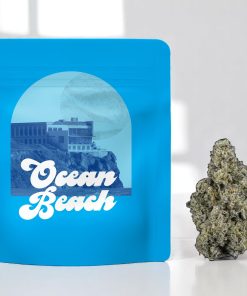 Ocean Beach