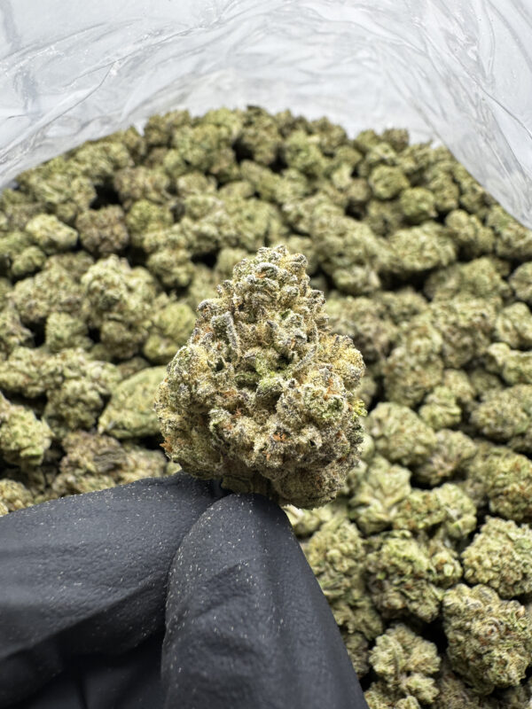 cookies thca flower shop cookies thca flower at smokey menu