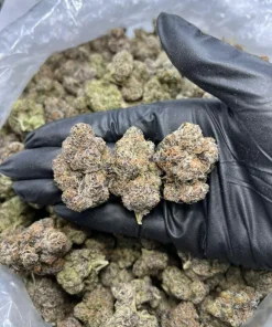 28 grams of candy gas strain by smokey menu