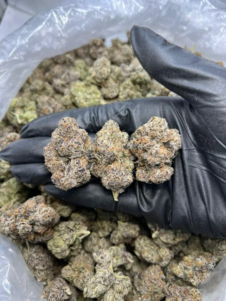 Candy Gas Strain 2 28 grams of candy gas strain by smokey menu