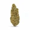 Casino Cookies CBD Hemp Flower