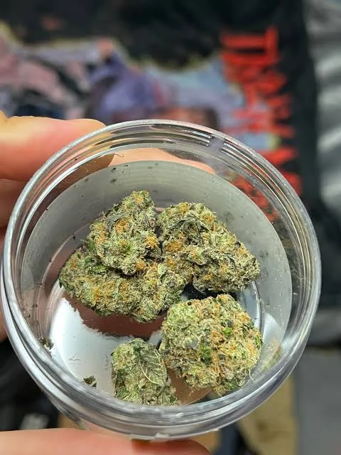 Lemon Cherry Gelato